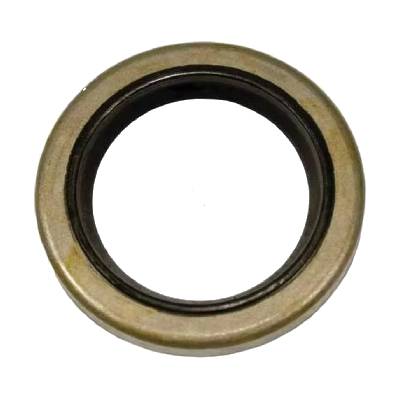 B&S Oil Seal Fly Wheel 299819